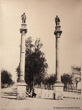 Sevilla, Columnas romanas en la Alameda de Hércules. Reynoso.
