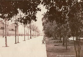 Sevilla, paseo frente al Palacio de San Telmo. Fotógrafo desconocido.