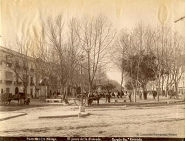 Málaga, el paseo de la Alameda con carros y transeuntes. Garzón.