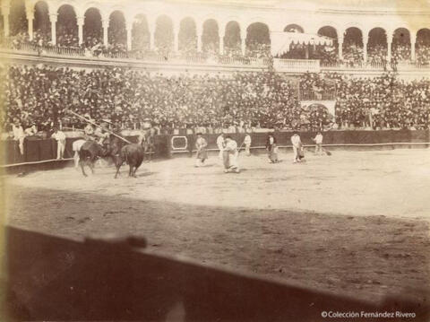 Open original Digital object