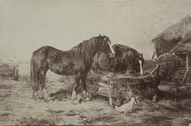 Reproducción cuadro de William Henry Hopkins de ambiente rural con dos caballos y varias gallinas. Autor desconocido.