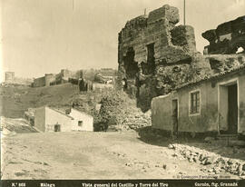 Málaga, castillo de Gibralfaro y ruinas de la Alcazaba. Garzón.