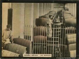 Málaga, interior de una bodega con los toneles y dos operarios. Fotógrafo desconocido