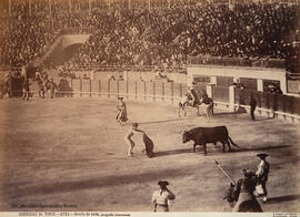 Madrid, Plaza de toros de la Fuente del Berro o de Goya, una corrida: suerte de capa. J. Laurent y Cia.