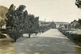 Málaga, el parque con el Hospital Noble y la Plaza de toros al fondo. Fotógrafo desconocido