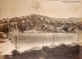 Málaga, lugar próximo al Jardín de la Concepción. Fotógrafo desconocido.