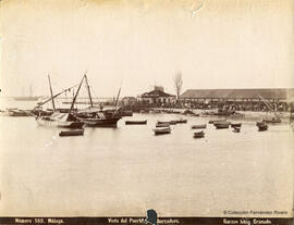 Málaga, el puerto, puesto de sanidad y tinglado de hierro. Garzón.