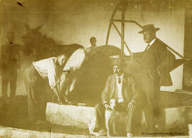 Málaga, lagar de Wunderlich o de Mendelin, la prensa movida por una mula con los propietarios y algunos operarios. Fotógrafo desconocido