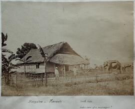 Karanti, Bungalows lado norte con elefante y varios personajes. Westfield.