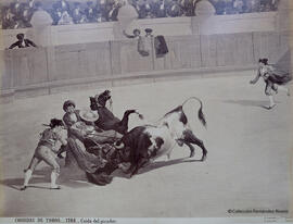 Pintura de autor desconocido. Caída del picador en una corrida de toros. J. Laurent y Cia.