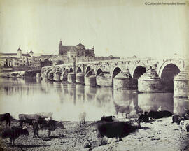 Córdoba, panorama de la ciudad y Puente Romano, con vacas. Masson.