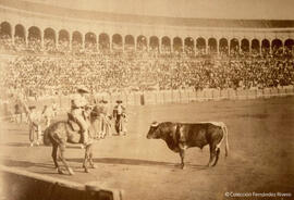 Sevilla, plaza de toros de la Maestranza durante una corrida, el picador frente al toro. Fotógrafo desconocido.