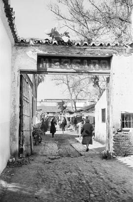 Mercado del Carmen. Febrero de 1959. Málaga, España