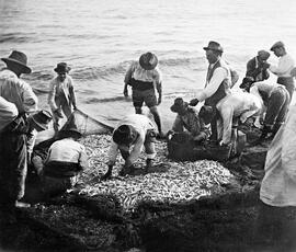El copo. Pescadores en las playas de Pedregalejo. 1910. Málaga, España. Colección Gonzalo de Castro-143