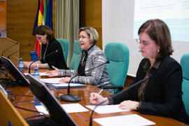 Relatoria final. Jornada "Brexit y Gibraltar. Un reto con oportunidades conjuntas". Edificio del Rectorado. Febrero de 2017