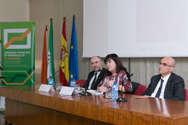 Conferencia de Cristina Narbona. XI Jornadas Andaluzas de Enseñanza de Economía. Facultad de Cien...