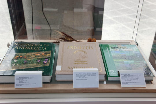 Open original Objeto digital