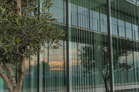 Facultad de Ciencias de la Salud. Campus de Teatinos. Marzo de 2015