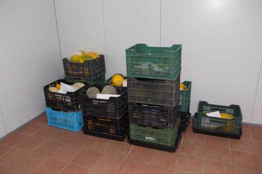 Open original Digital object