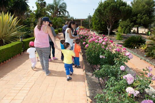 Open original Objeto digital