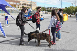 Campaña "Adóptame", de la Sociedad Protectora de Animales y Plantas. II Día del Estudiante. Campus de Teatinos. Octubre de 2018