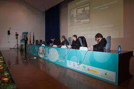 Panel de expertos. 4º Congreso Internacional de Actividad Físico-Deportiva para Mayores. Escuela ...