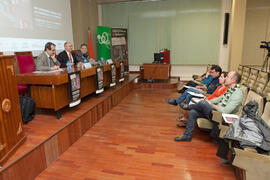 Intervención de Eugenio Luque. VIII Jornadas Andaluzas de Enseñanza de Economía: ponencia de Emil...