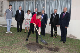 Presentación del árbol de Hipócrates donado por la isla de Kos. Facultad de Medicina. Octubre de 2017