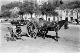 Málaga. Empleados municipales en el saneamiento del alcantarillado. Avenida de Pries. Septiembre ...