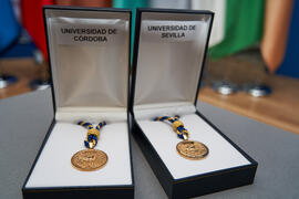 Medallas de Oro de la Universidad de Málaga a la Universidad de Córdoba y a la Universidad de Sevilla. Paraninfo. Junio de 2023