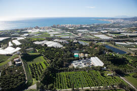 Vistas aéreas de la Estación Experimental IHSM La Mayora. Algarrobo-Costa. Diciembre de 2016