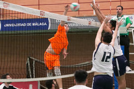 Partido masculino Universidad de Málaga - Universidad de Vigo. Campeonato de España Universitario...