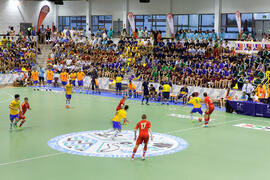 Partido Rusia contra Brasil. 14º Campeonato del Mundo Universitario de Fútbol Sala 2014 (FUTSAL)....