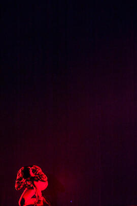 Fran Millán. Ensayos para la Gala Inaugural de la XXIV edición de Fancine de la Universidad de Málaga. Teatro Cervantes. Noviembre de 2014