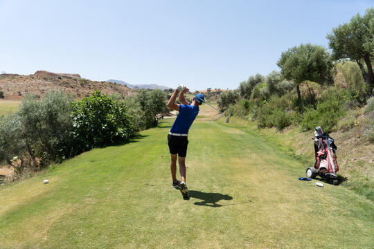 Open original Digital object