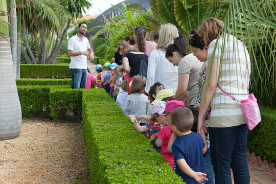 Open original Objeto digital