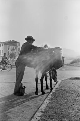 Málaga. Lechero por las calles de la ciudad. Agosto de 1963