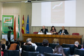 José Juan Benítez Rochel presenta a Cristina Narbona. XI Jornadas Andaluzas de Enseñanza de Econo...