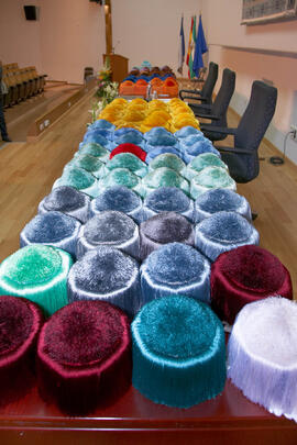 Investidura de nuevos doctores por la Universidad de Málaga. Paraninfo. Febrero de 2012