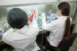 Personal e instalaciones del Departamento de Farmacología. Facultad de Medicina. Noviembre de 2015