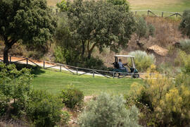 Árbitro en su carrito. Campeonato Europeo de Golf Universitario. Antequera. Junio de 2019