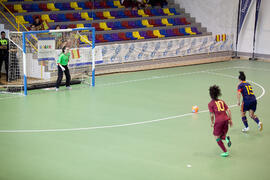 Partido España contra Portugal. 14º Campeonato del Mundo Universitario de Fútbol Sala 2014 (FUTSAL). Antequera. Julio de 2014