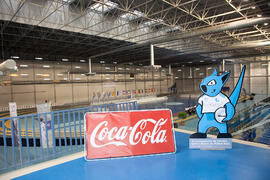 Complejo Deportivo Fernando Argüelles. Momentos previos a la ceremonia de apertura del IX Campeonato de Europa Universitario de Fútbol Sala. Antequera. Julio de 2013