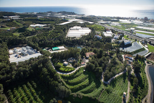 Open original Digital object