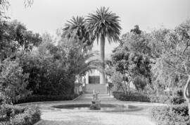 Málaga. Jardines del chalet en Maro de Doña María Pilar Pries, la Marquesa de Larios. Junio de 1963