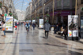 Exposición "La Universidad de Málaga del Siglo XXI". Calle Larios. Enero de 2017
