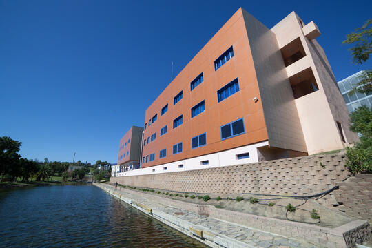 Open original Digital object