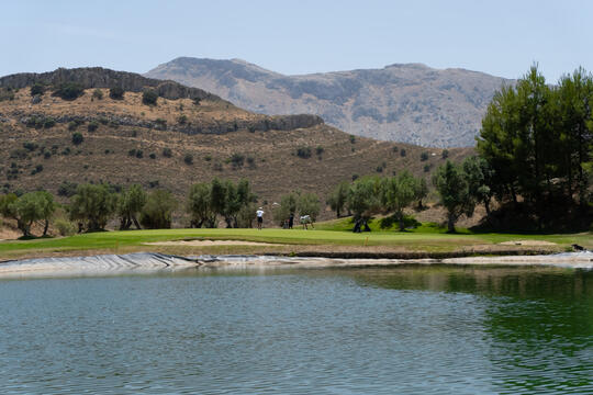 Open original Digital object