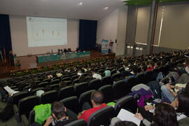 Panel de expertos. 4º Congreso Internacional de Actividad Físico-Deportiva para Mayores. Escuela ...